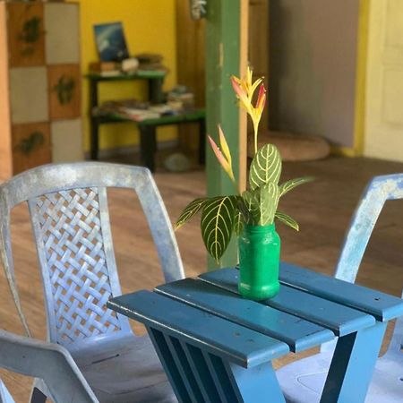 La Y Surf Camp Hotel Bocas Town Kültér fotó