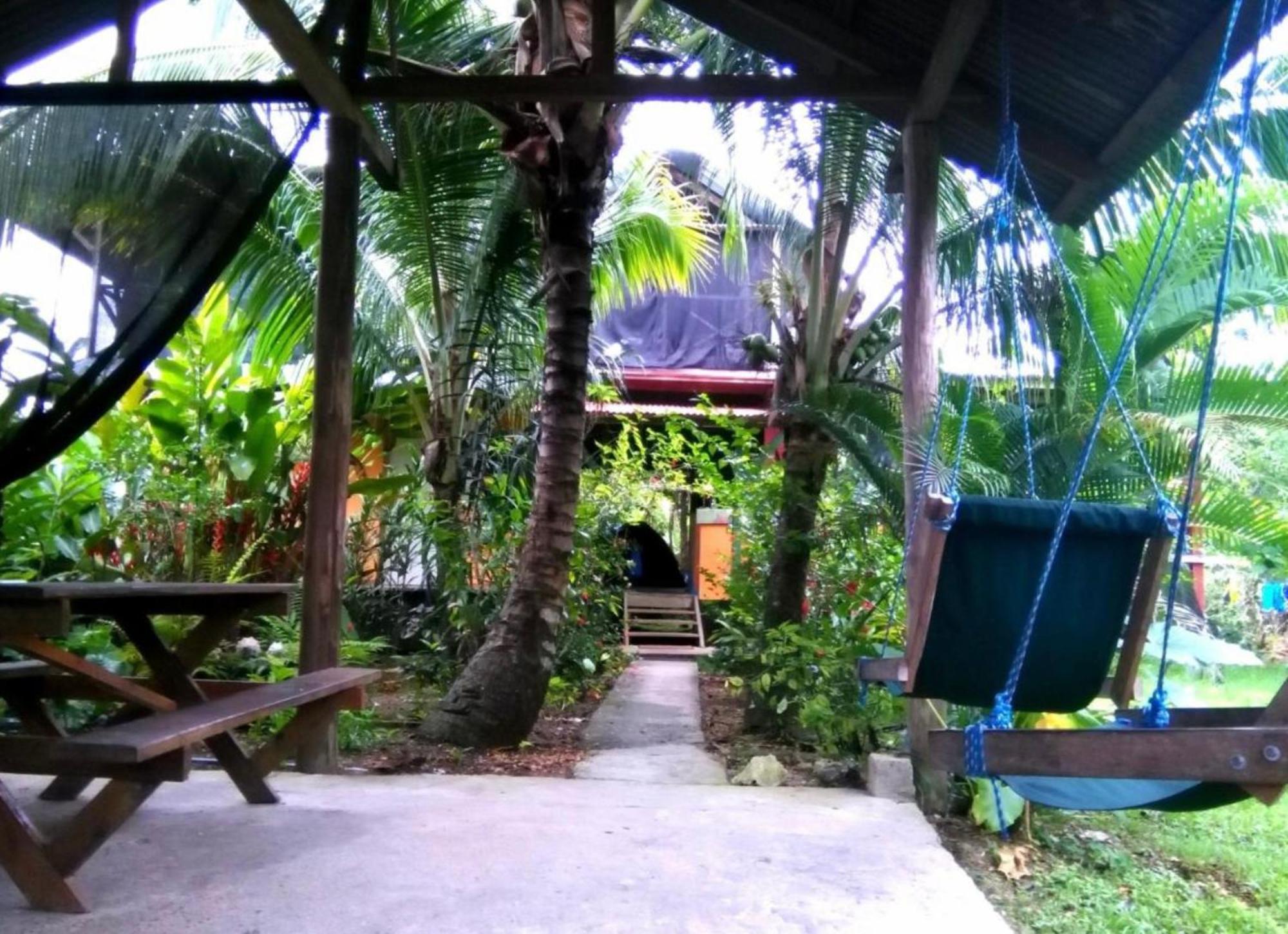 La Y Surf Camp Hotel Bocas Town Kültér fotó