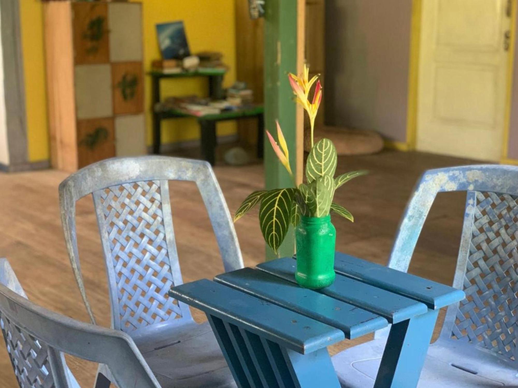 La Y Surf Camp Hotel Bocas Town Kültér fotó