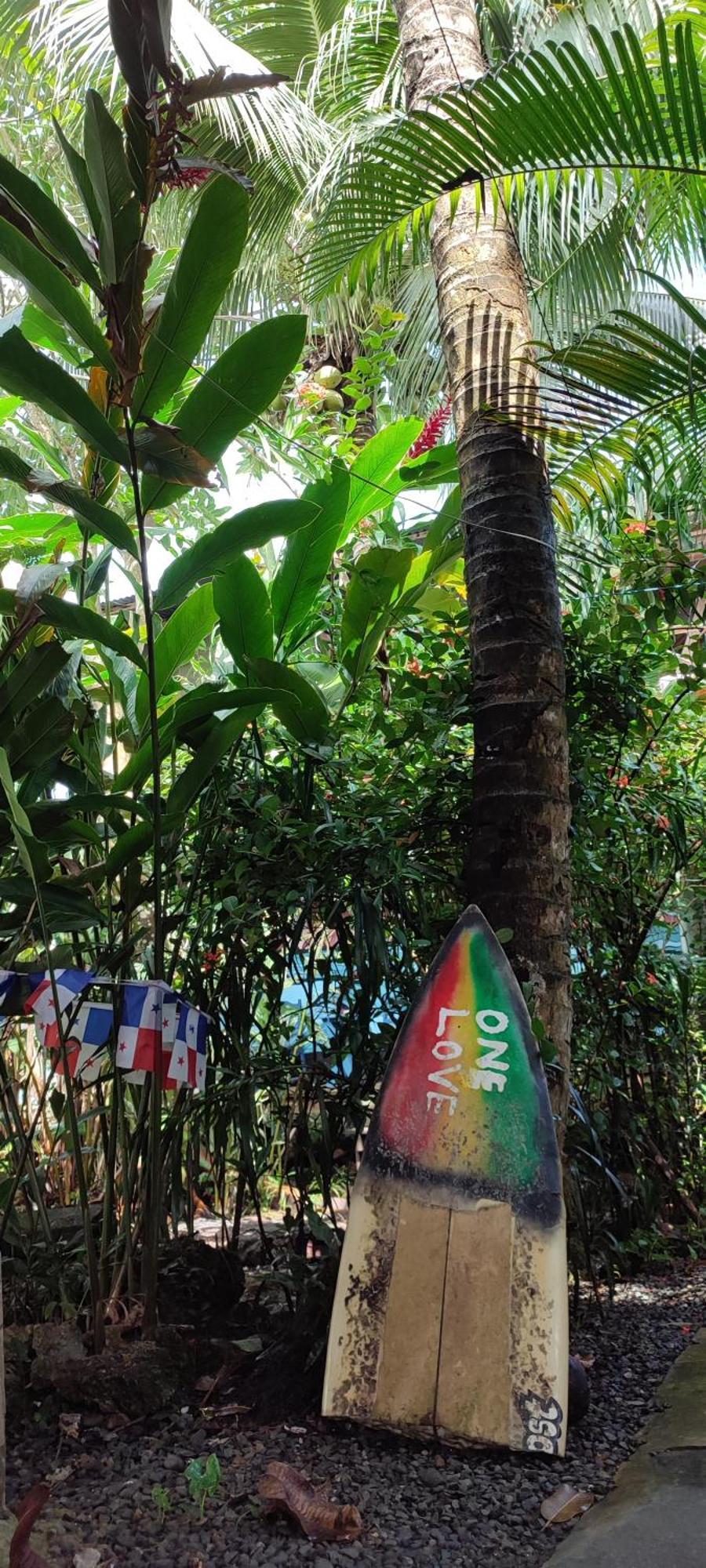 La Y Surf Camp Hotel Bocas Town Kültér fotó