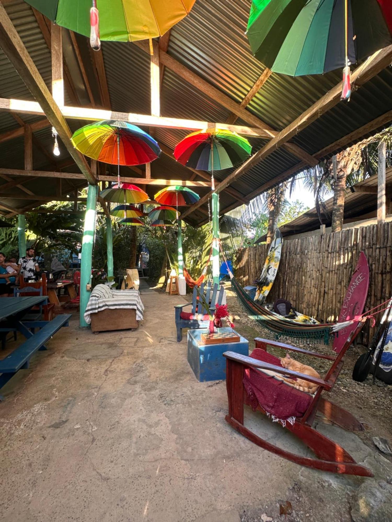La Y Surf Camp Hotel Bocas Town Kültér fotó